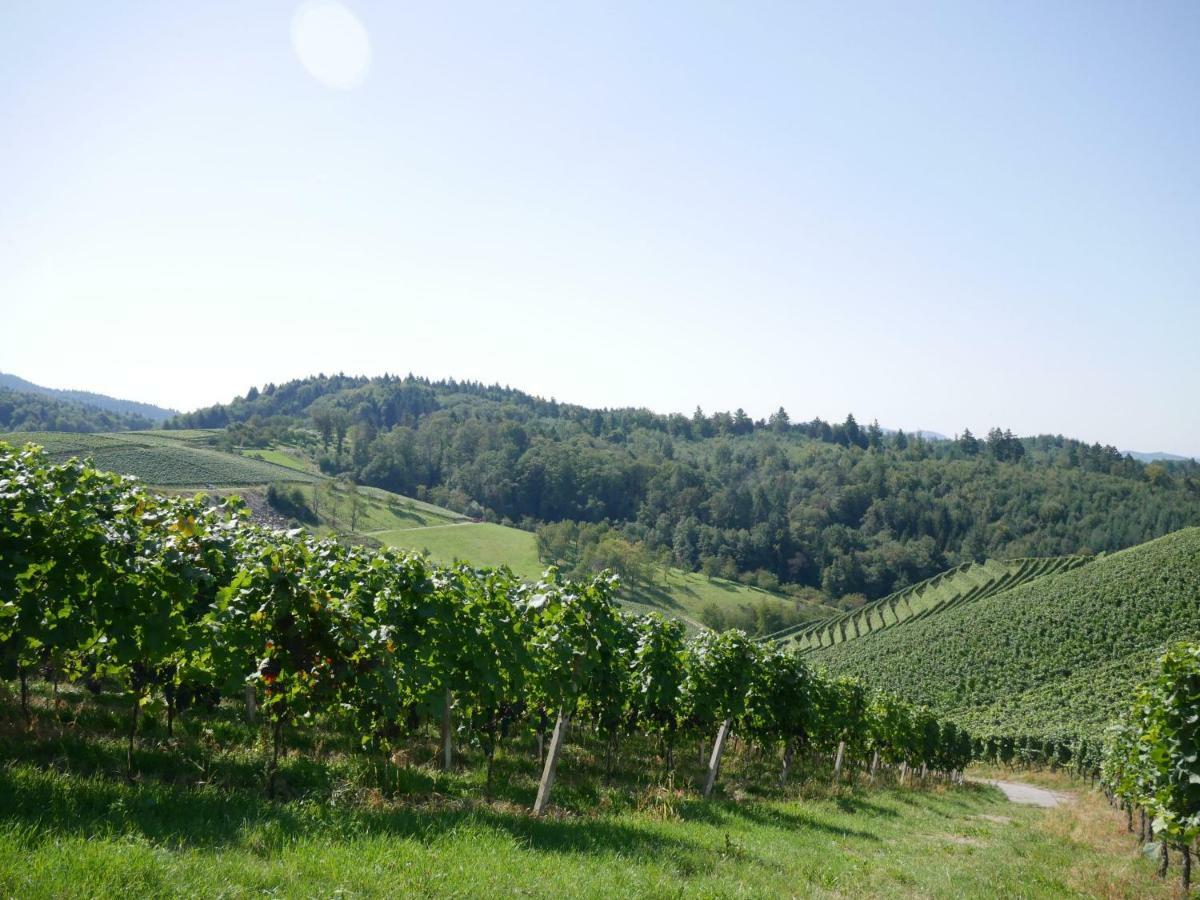 Ferienwohnung Kirschbluete Mosbach  エクステリア 写真